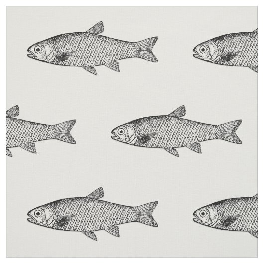 通常の魚、色の背景の選択 ファブリック (見本)