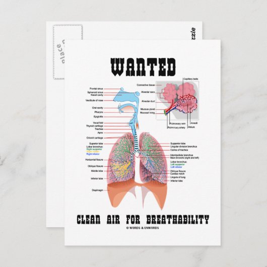 通気性澄んを確保するために必要な空気（呼吸） ポストカード (正面/裏面)