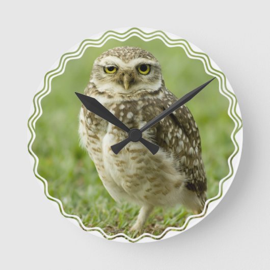 通知フクロウ時計 ラウンド壁時計 (正面)