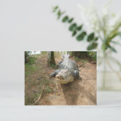 通話を閉じる ポストカード (スタンド正面)