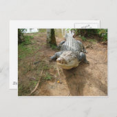 通話を閉じる ポストカード (正面/裏面)