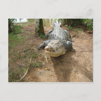 通話を閉じる ポストカード