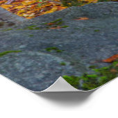 通路は公園のベンチにつながる ポスター (角)