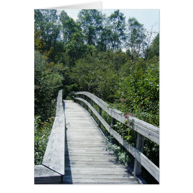 "通路、緑山の国有林" (正面)