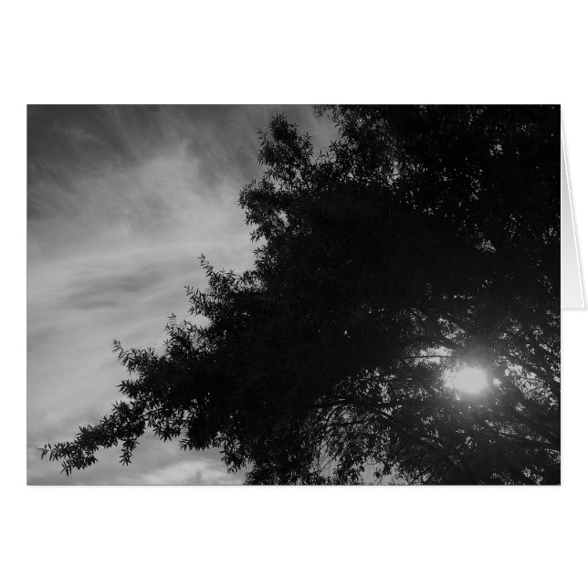 通輝く過 (正面横)