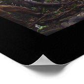 通過 ポスター (角)