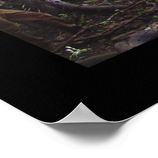 通過 ポスター (角)