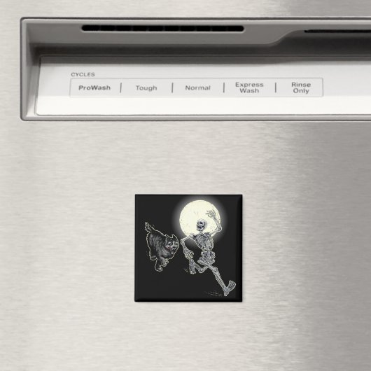 速いボーン マグネット (インサイチュ (食洗機))