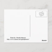 速い行ってもいかに、決してそこに着きません ポストカード (裏面)