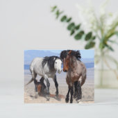 速くて怒りっぽいポストカード ポストカード (スタンド正面)