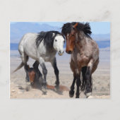 速くて怒りっぽいポストカード ポストカード (正面)