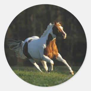 速く走っているペンキの馬 ラウンドシール