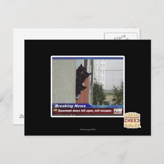 速報2 ポストカード (正面/裏面)