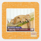 速報 スクエアシール (正面)