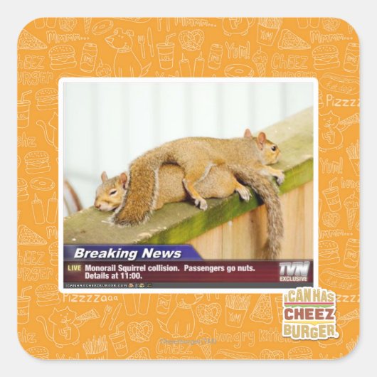 速報 スクエアシール (正面)