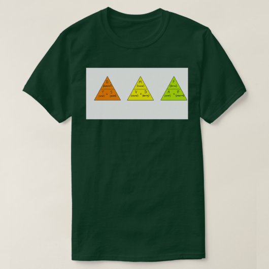 速度の密度と圧力の式の三角形 Tシャツ (デザイン正面)