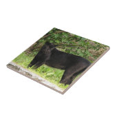 速度を計るヒョウのタイル タイル (側面)