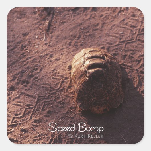 速度バンプ スクエアシール (正面)