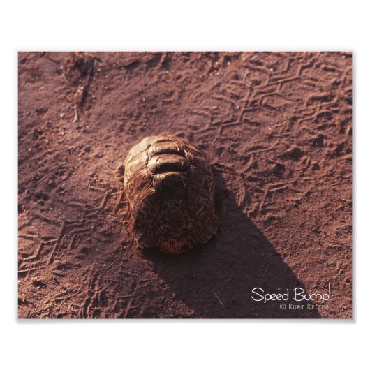 速度バンプ フォトプリント            (正面)