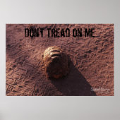 速度バンプ ポスター (正面)