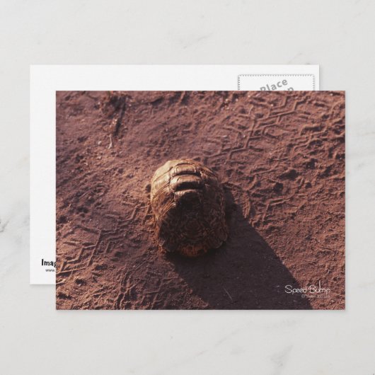 速度バンプ ポストカード (正面/裏面)