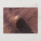 速度バンプ ポストカード (正面)