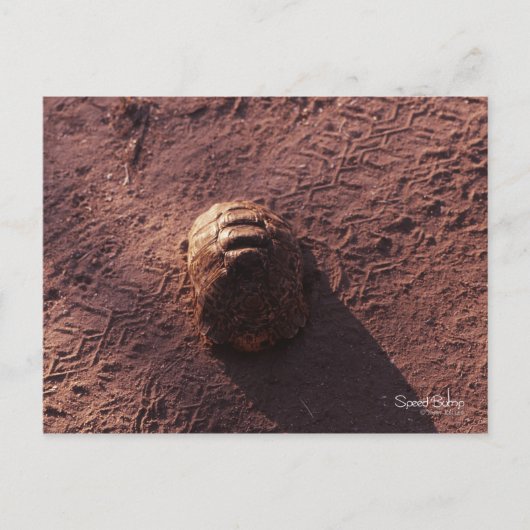 速度バンプ ポストカード (正面)