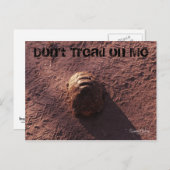 速度バンプ ポストカード (正面/裏面)