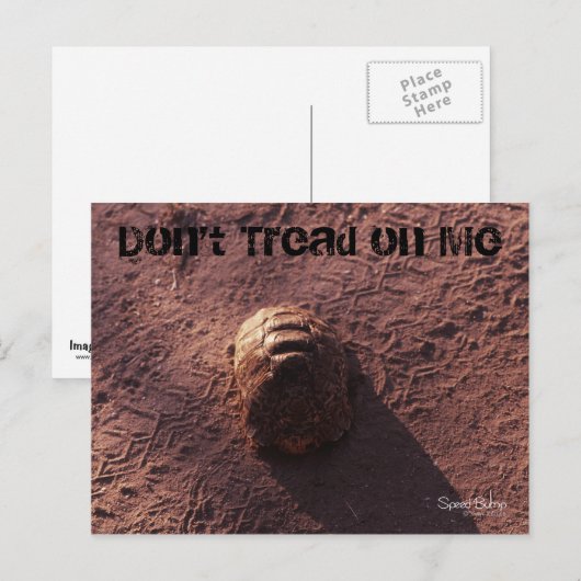 速度バンプ ポストカード (正面/裏面)