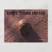 速度バンプ ポストカード (正面)