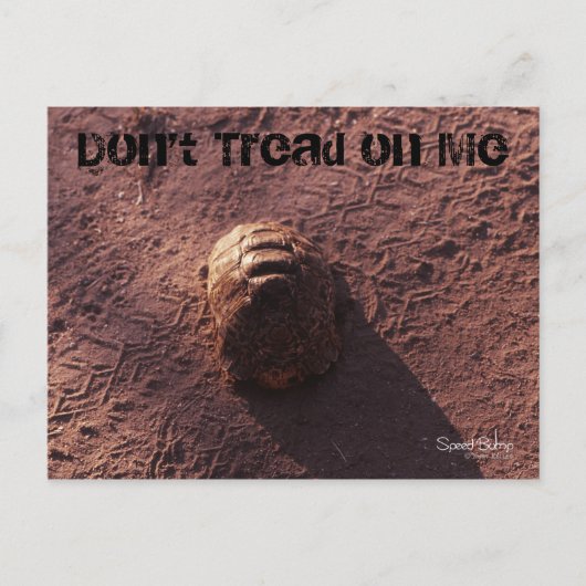 速度バンプ ポストカード (正面)