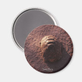 速度バンプ マグネット (正面/裏面)