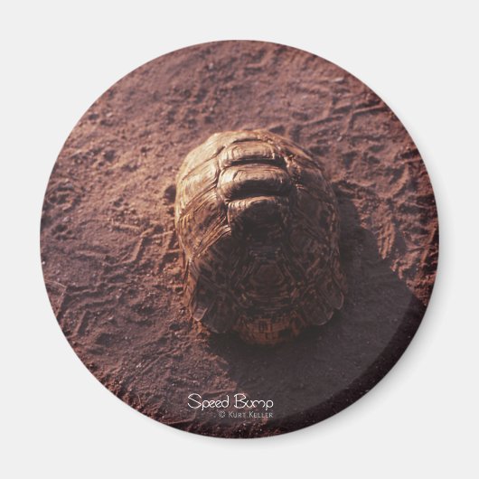 速度バンプ マグネット (正面)