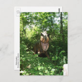 速度計 ポストカード (正面/裏面)