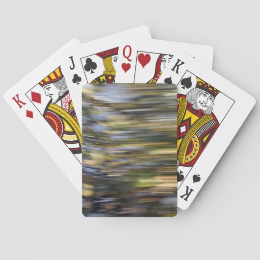 速度 トランプ (裏面)