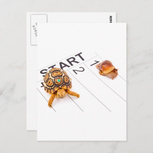 速度 ポストカード (正面/裏面)