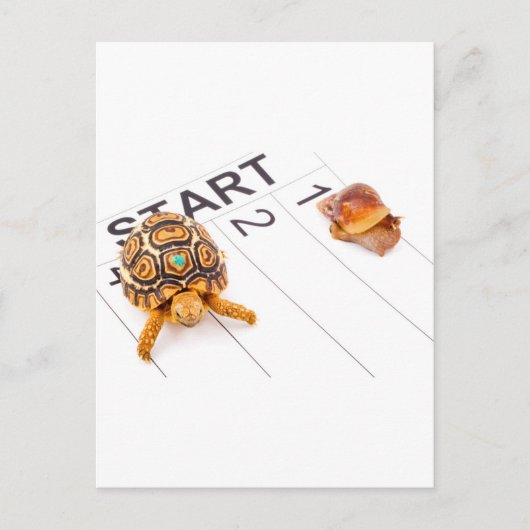 速度 ポストカード (正面)