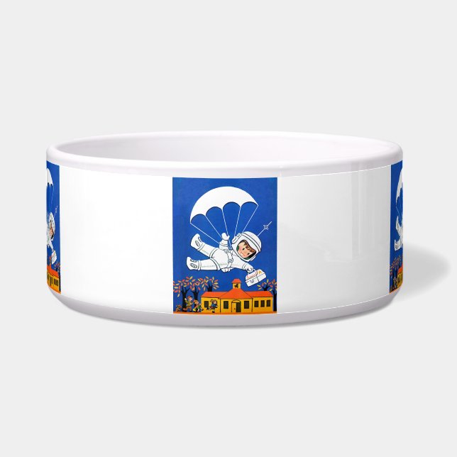 速達 ボウル (正面)