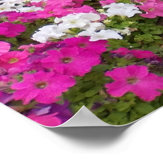 造園された歩道 ポスター (角)