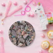 造園の溶岩の石の荒石および石 ペーパープレート (パーティー)