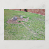 造園アイディアが切り株を覆う ポストカード (正面)