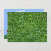 造園ビジネス草マクロ 案内ポストカード (正面/裏面)