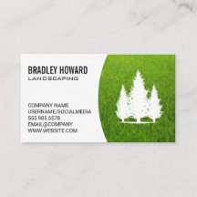 造園 | 芝生と高い木