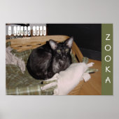 造岡2007 ポスター (正面)