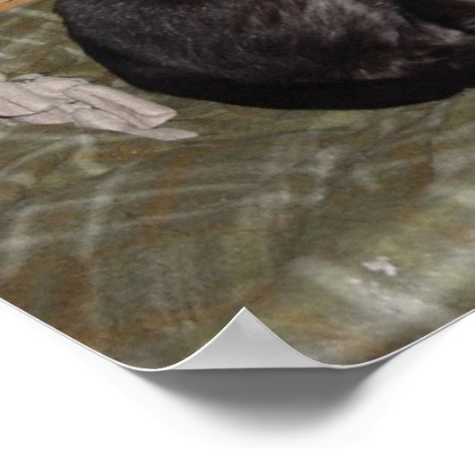 造岡2007 ポスター (角)