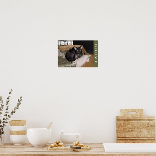 造岡2007 ポスター (キッチン)