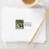 造船所のセント・ベルナーズ ラベル (インサイチュ)