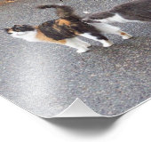 逢うは路上俳句 フォトプリント            (角)