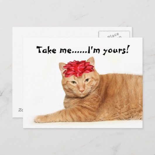 連れて行って…...私は君のものだ！ ポストカード (正面/裏面)