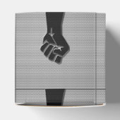 連帯拳カーボンファイバーデコールスタイル フェイバーボックス (上部)